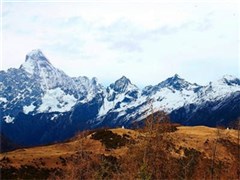 四姑娘山、巴郎山、熊貓?jiān)芳兺嫒沼? /></div>
                                        <div   id=