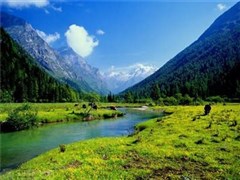 川藏318+四姑娘山+稻城亞丁+然烏湖+南迦巴瓦峰林芝+拉薩+羊卓雍措