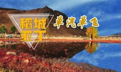 稻城亞丁、新都橋純玩五日游-單汽單飛
